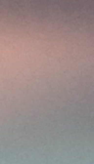 Subtle Hues Subtle Hues