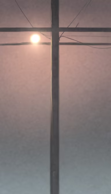 Sunrise Through the Wires