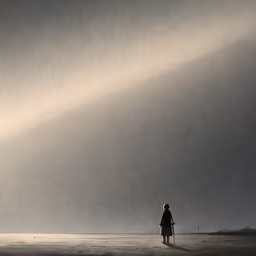 Solitude Solitude