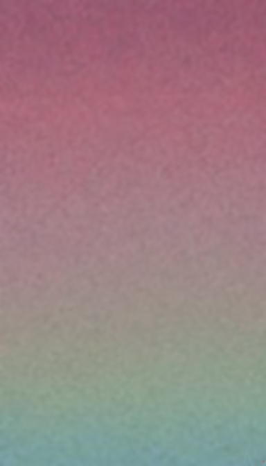 Gradient Dreams Gradient Dreams