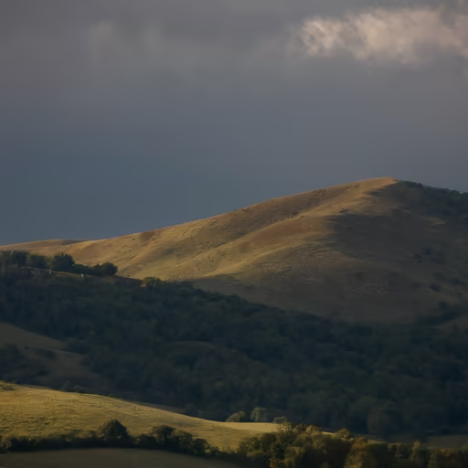 Hillside Serenity