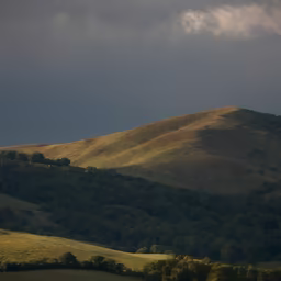 Hillside Serenity
