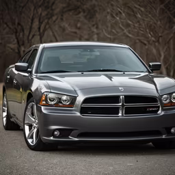 American Muscle American Muscle