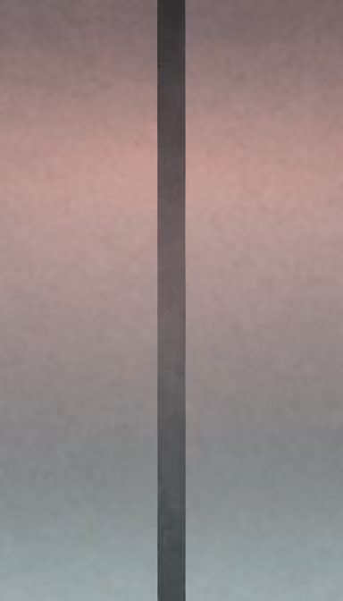 Divided Divided