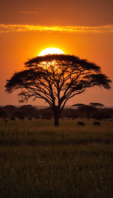 African Sunset African Sunset