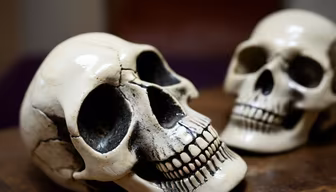 Memento Mori Memento Mori