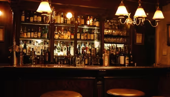 Cozy Bar