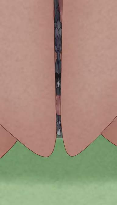 Fairway Focus Fairway Focus