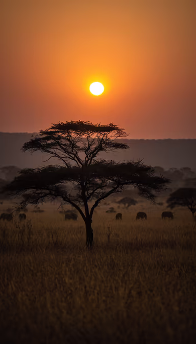 African Sunset African Sunset