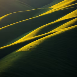 Rolling Hills