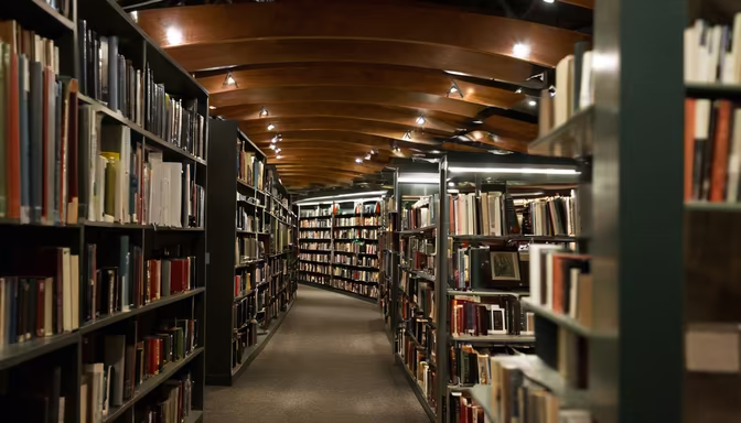 Bookworm Paradise