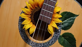 Summer Serenade Summer Serenade