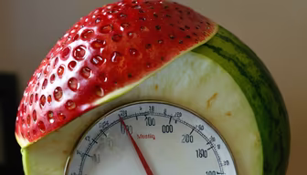 Fruit Fusion Fruit Fusion