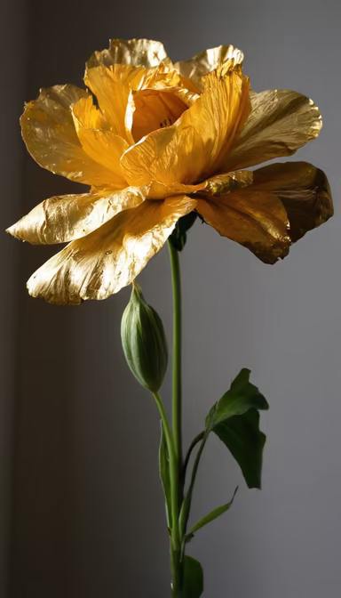 Golden Bloom