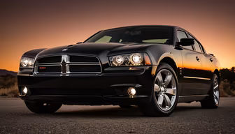 American Muscle American Muscle