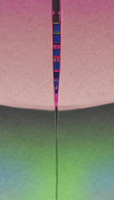 Verticality Verticality