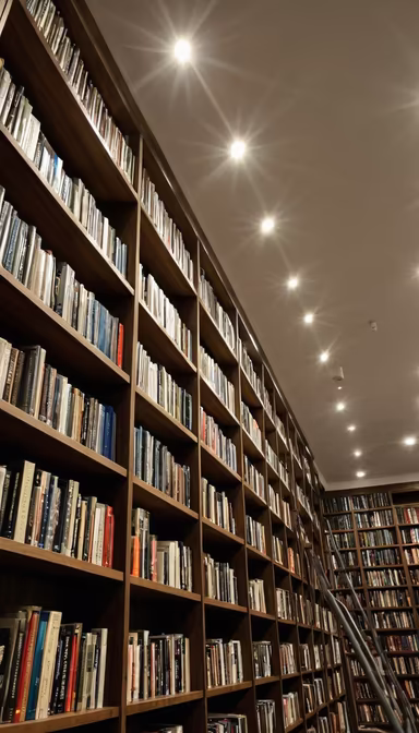Bookworm Paradise Bookworm Paradise