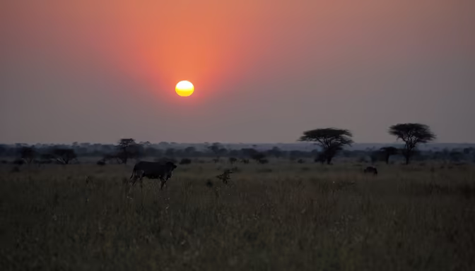 African Sunset