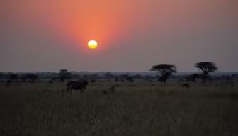 African Sunset