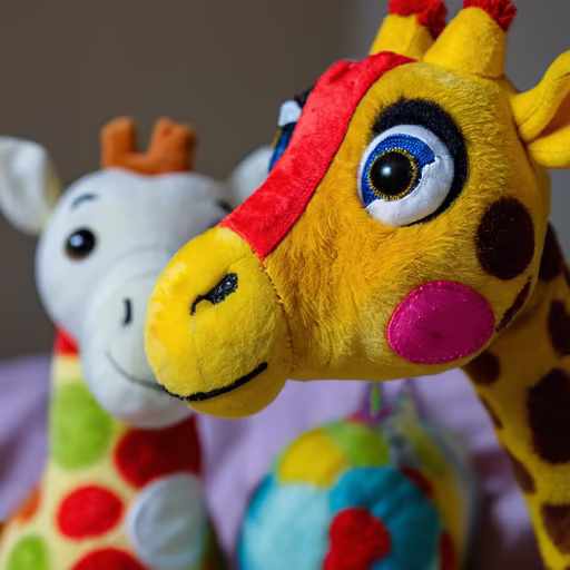 Giraffe Friends