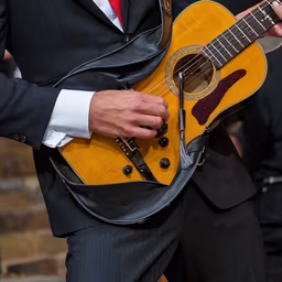 Guitar Serenade Guitar Serenade
