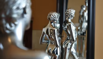 Silver Reflections