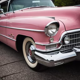 Pink Dream Pink Dream