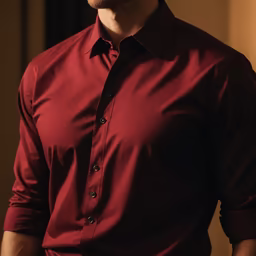 Burgundy Elegance