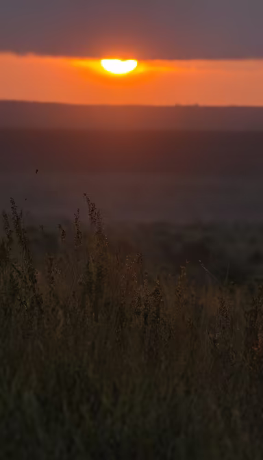 Golden Hour Serenity