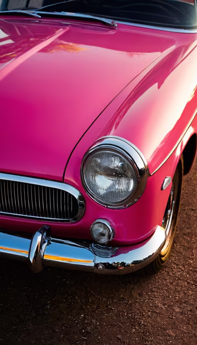 Pink Dream Pink Dream