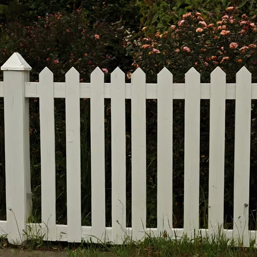 Suburban Dreams