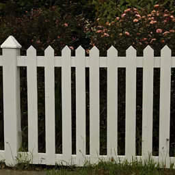 Suburban Dreams