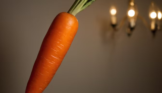 Carrot Still Life