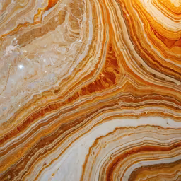 Earth's Art Earth's Art