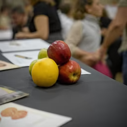 Fruit Still Life