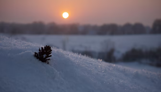Winter's Embrace