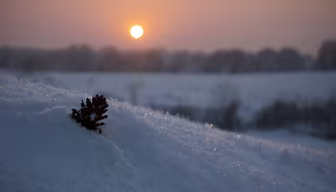 Winter's Embrace Winter's Embrace