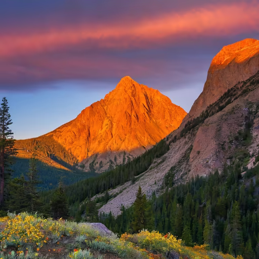 Mountain Majesty