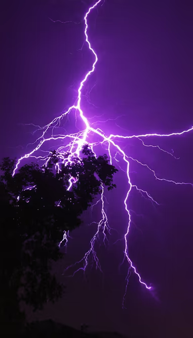 Electric Night Electric Night
