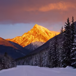 Mountain Majesty Mountain Majesty