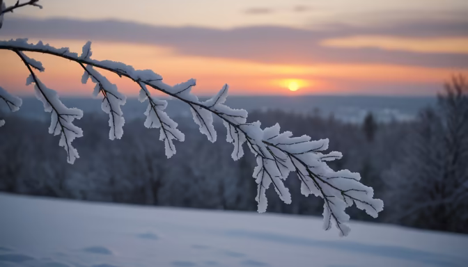 Winter's Touch