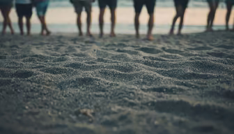 Beach Day