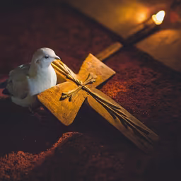 Peace and Faith Peace and Faith