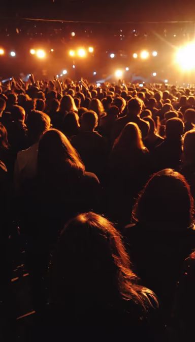 Concert Crowd Concert Crowd