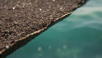 Seaside Edge