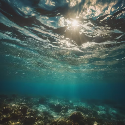 Underwater Paradise