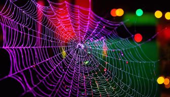 Enchanted Web Enchanted Web