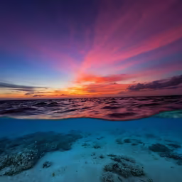 Ocean Dreams