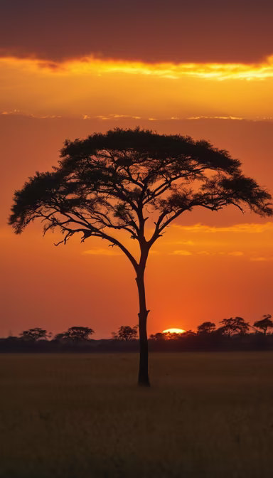 African Sunset