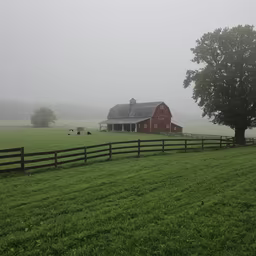 Misty Morning Farm Misty Morning Farm